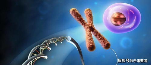 基因組垃圾場中的進(jìn)化密鑰 科學(xué)家發(fā)現(xiàn)隱藏的重要基因